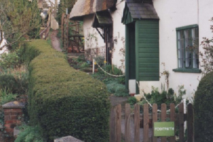 Village Scenes around year 2000