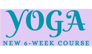 Yoga In the Village Hall